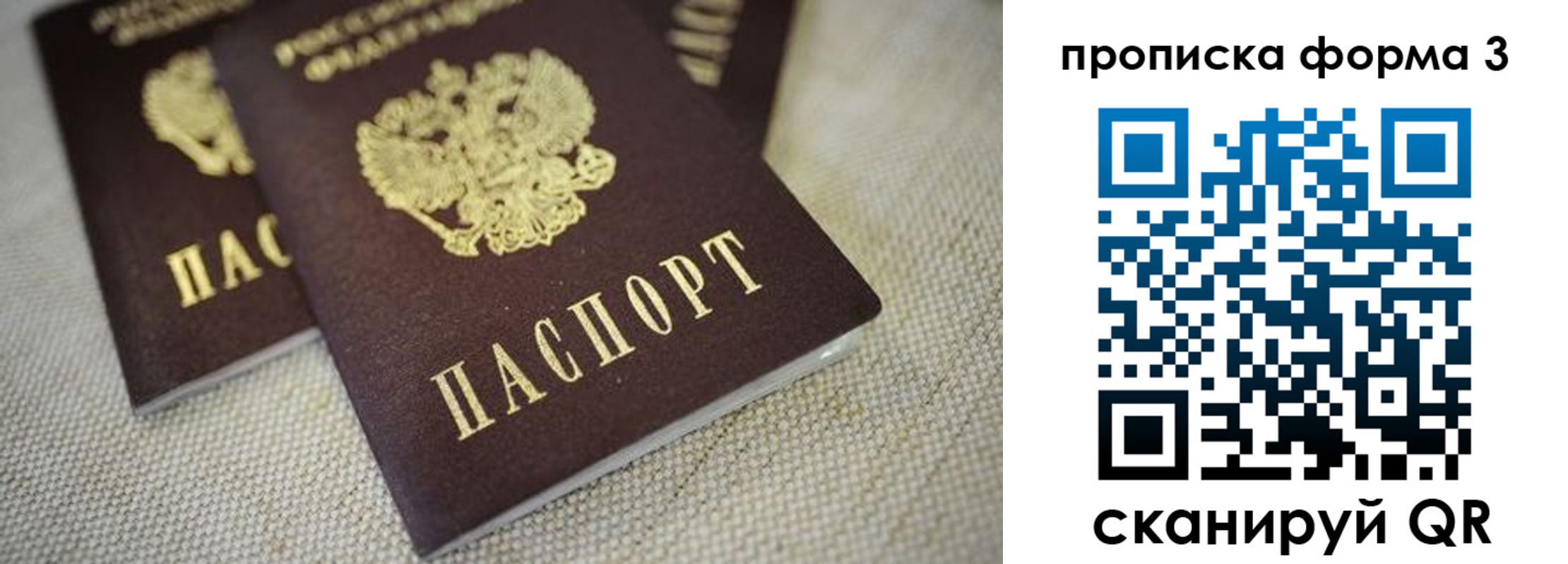 прописка поиск в Павлово